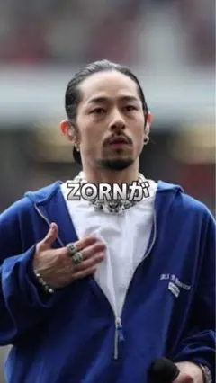 ZORN LIVE 2022.11.03 VIP席特典 パーカー サイズM ZORN LIVE 2022.11.03 VIP席特典 パーカー サイズM - メルカリ