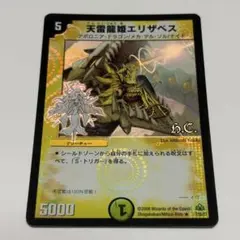 天雷龍姫エリザベス デュエルマスターズ - メルカリ