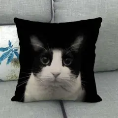 Item thumbnail for item e97834a8-a6d0-4254-860f-d0e10537a57c