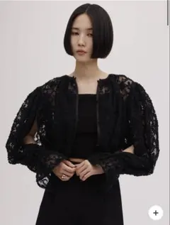 AMERI BRUSHED LACE VOLUME BLOUSEのサムネイル