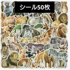 Item thumbnail for item 380ca93a-3e06-48da-9dd8-17b58d1eb03c