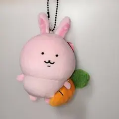 ナガノキャラクターズ　FRIENDS　マスコット　兎　うさぎ