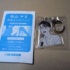 2026年最新】和山やま アクリルの人気アイテム - メルカリ
