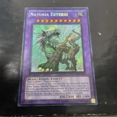 2025年最新】ナチュルエクストリオ シークレットの人気アイテム