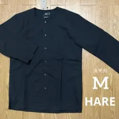 Item thumbnail for item 802ea521-29c8-4317-9564-005e65553ff1