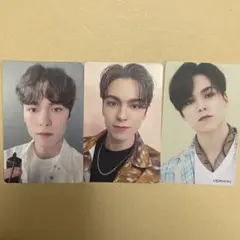 バーノン ひとりじゃない カラット CARA 盤 トレカ セブチ 通常盤　hmv