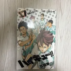 ハイキュー バレーボール