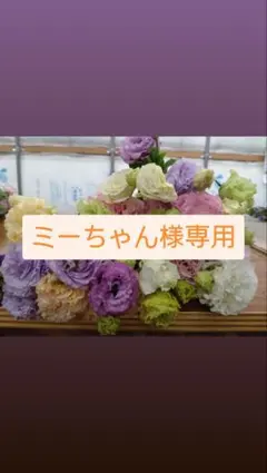 ミーちゃん様専用　トルコギキョウ　リシアンサス　生花