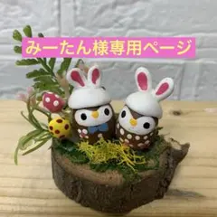 どんぐりアート♡