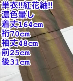 トールサイズ】夏着物 絽 正絹 縦縞 深緑×ミントグリーン 身丈170 裄65