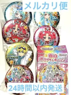 プリキュア ホログラム缶バッジ 6個セット