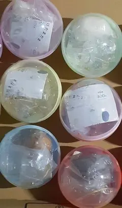 【正規品】 うちの子のけだまだま コンプリート セット カプセル付き