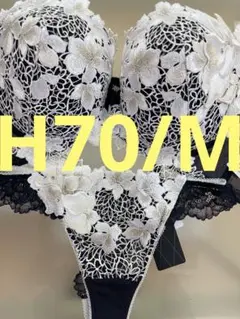 サルート　店舗限定⭐️89グループ⭐️KO⭐️H70/M⭐️上下セット　新品❗️のサムネイル