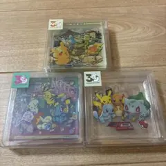 ポケモンセンター ポケモン 30周年記念 アクリルブロック ピカチュウ
