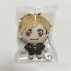 ハイキュー セガラッキーくじ 宮侑 B賞 ぬいぐるみ
