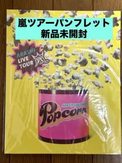 嵐　ツアーパンフレット