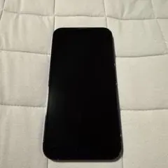 Apple iPhone 13 Pro Max 256GB （カメラ少し破損）