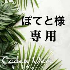 【ぽてと様専用】