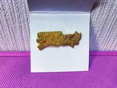 セーラームーン ミュージアム　ロゴピンズ