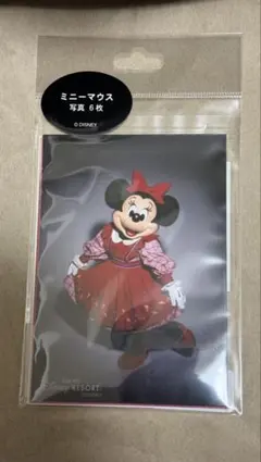 ミニーマウス 写真 6枚