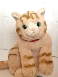 2025年最新】ひざねこ ぬいぐるみ mの人気アイテム - メルカリ