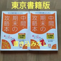 Item thumbnail for item 2af0a459-3bdc-48cb-ae53-f5e17db30729