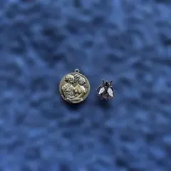 FUCKING AWESOME COIN GOLD & FLIES PIN