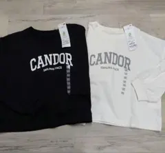 オーガニックコットン長袖Tシャツ120サイズ 2枚セット