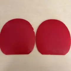 ファスタークg1