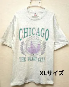 【80s-90s】USA製ビンテージ TシャツFRUIT OF THE LOOM