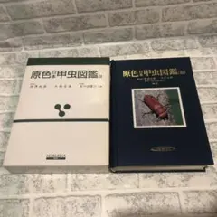 suika様 リクエスト 3点 まとめ商品