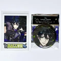カードケース2 缶バッジ4 ランダムカード2 アズール　クラブウェア ツイステ クラブウェア 缶バッジ ランダムカード クラブウエア