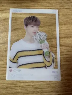 SEVENTEEN HARU ディノ　トレカ