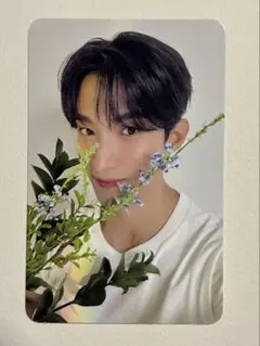 SEVENTEEN ドギョム17 IS RIGHT HEREトレカ