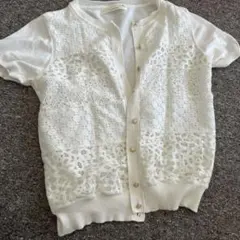 Item thumbnail for item 230216a3-5948-4f48-8717-d7e57b16c129