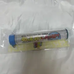 わっしょいcamp 付け替えペンライトトップ