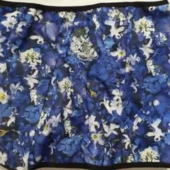 ドクターメゾット、ベリーナ、ウエストシェイバ―S