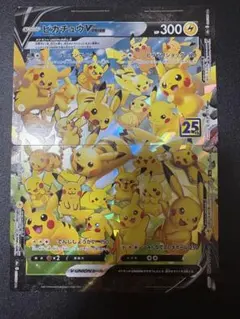 25th ポケモンカードゲーム