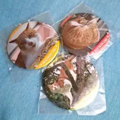 牧場猫のメト　缶バッジ　ノーザンレイク牧場の看板猫-メト　猫キャラクターグッズ