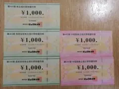 ビックカメラ 株主優待券 1000円 5枚セット