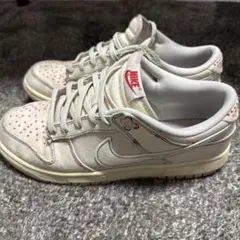 Nike ダンクロー 27センチ