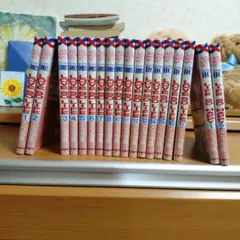 LOVE SO LIFE 全17巻 + LEES SO HAPPY 1-2巻