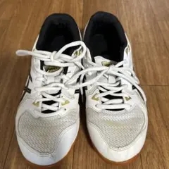 ASICS バレーボールシューズ ホワイト/ブラック/ゴールド25センチ