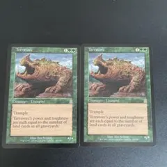 MTG 土を食うもの/Terravore ODY 英語版 4枚 - メルカリ