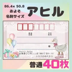 NEW【アヒル】宛名シール　差出人シール　普通サイズ　40枚　レース　動物