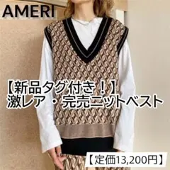 ✨即日発送✨AMERI VINTAGE ジャガード ニットベスト ジレ 茶 F