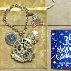 ディズニー 35周年 タイムオブセレブレーション グランドフィナーレ