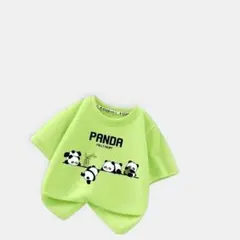 【キッズ服】男の子Tシャツ半袖綿夏服子供用