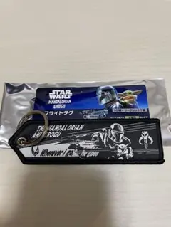 スターウォーズ　マンダロリアンアンドグローグー　フライトタグのサムネイル