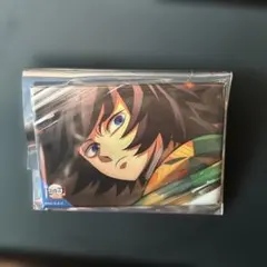 鬼滅の刃　無限城編　第一章　冨岡義勇　全方位コレクション缶バッジ